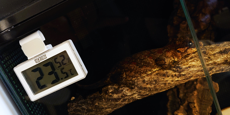 【ガーゴイルゲッコーの飼育用品】エキゾテラ コードレスデジタル温湿度計